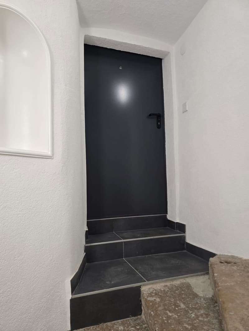 Très joli appartement 1 pièce rénové  ** 1ère location ** (8)