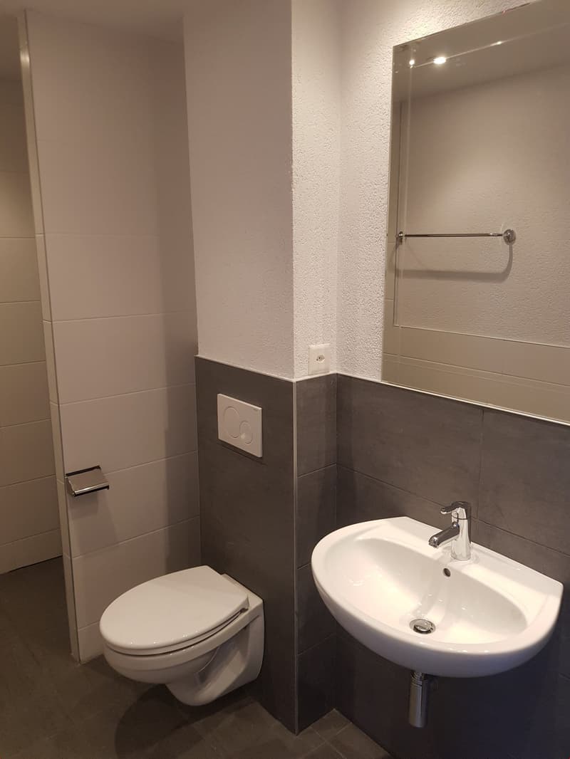 Appartamento in quartiere tranquillo (5)