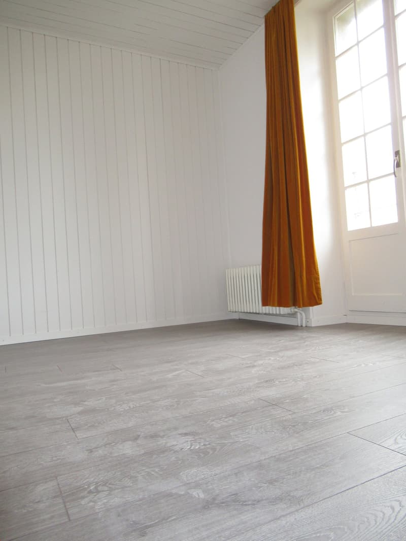 Appartement mit 1 Zimmer renoviert, 10 Min. von Biel (1)