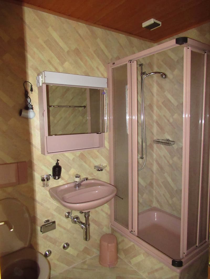 Appartement mit 1 Zimmer renoviert, 10 Min. von Biel (3)