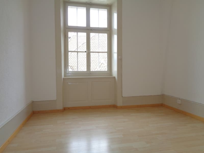 Bello appartamento con grande balcone (6)