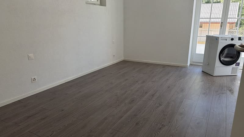 Grand appartement lumineux à Péry - avec Conciergerie (4)