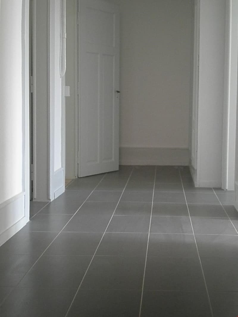 Dans quartier calme, appartement rénové avec balcon (6)