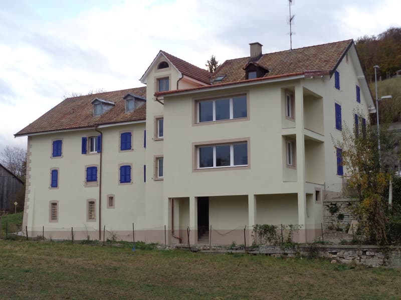 Appartement moderne rénové (6)
