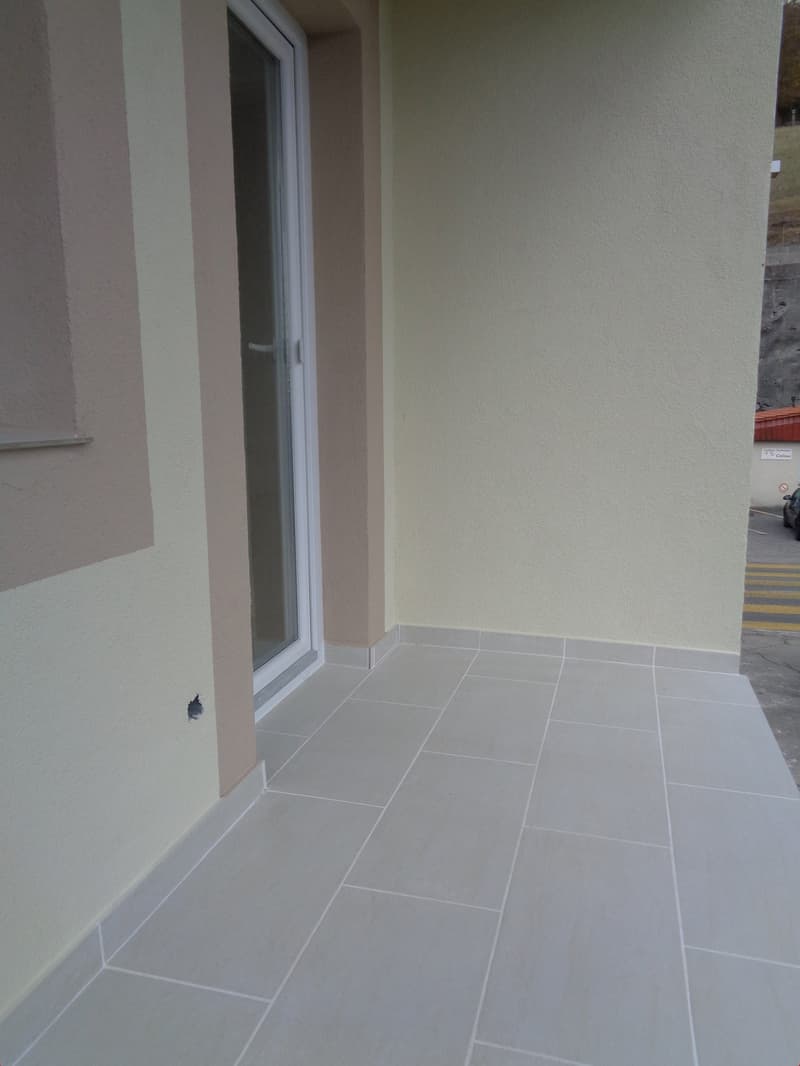 Appartement moderne rénové (4)