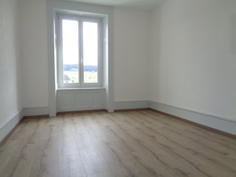 Dans quartier calme, appartement entièrement rénové (3)