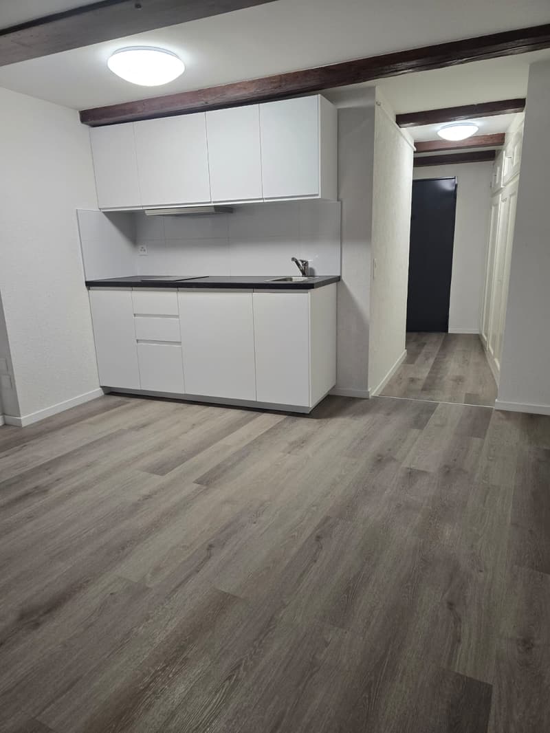 Très joli appartement 1 pièce rénové  ** 1ère location ** (2)