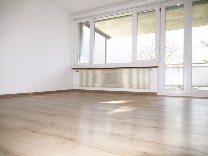 Appartement rénové et lumineux avec ** GRAND BALCON ** (4)