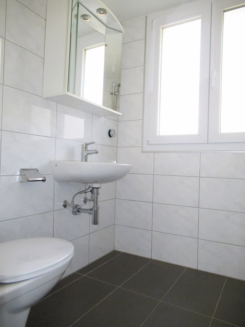 Appartement rénové et lumineux avec ** GRAND BALCON ** (6)