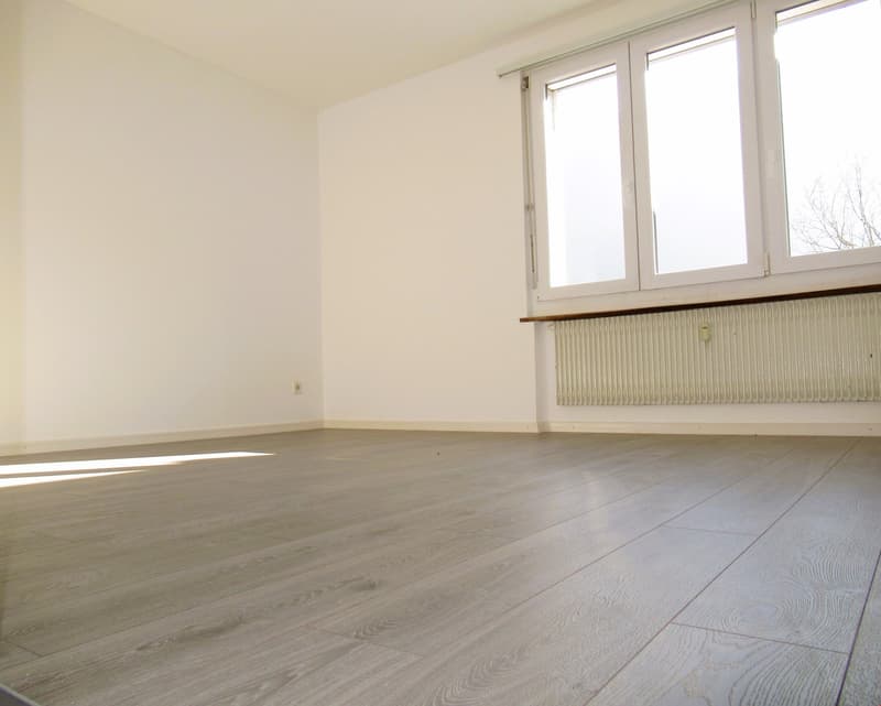 Appartement rénové et lumineux avec ** GRAND BALCON ** (7)