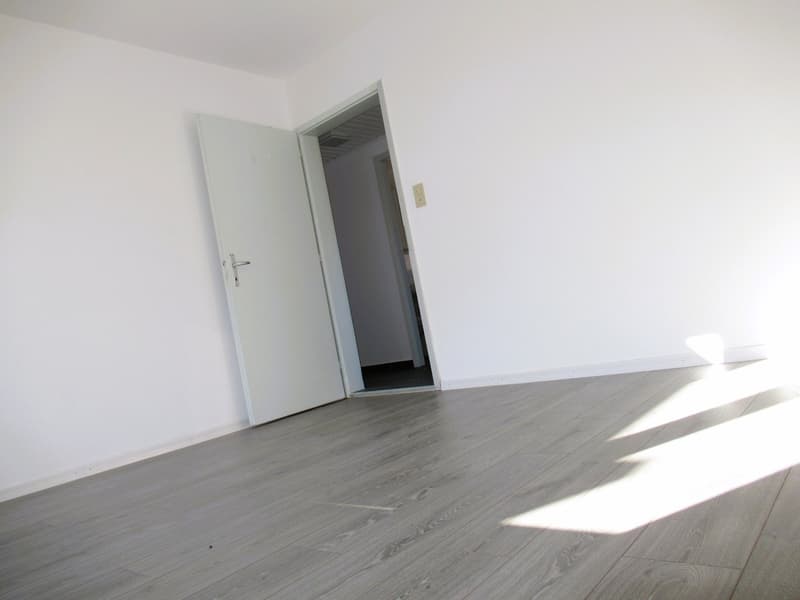 Appartement rénové et lumineux avec ** GRAND BALCON ** (8)