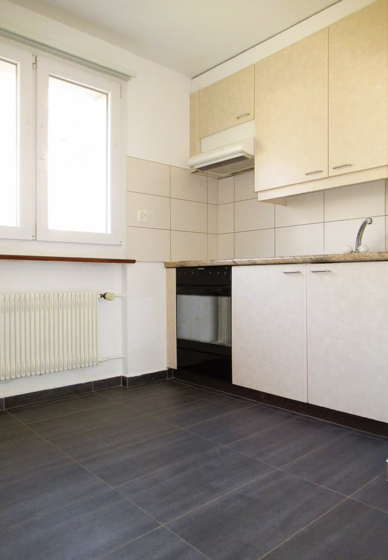 Appartement rénové et lumineux avec ** GRAND BALCON ** (3)