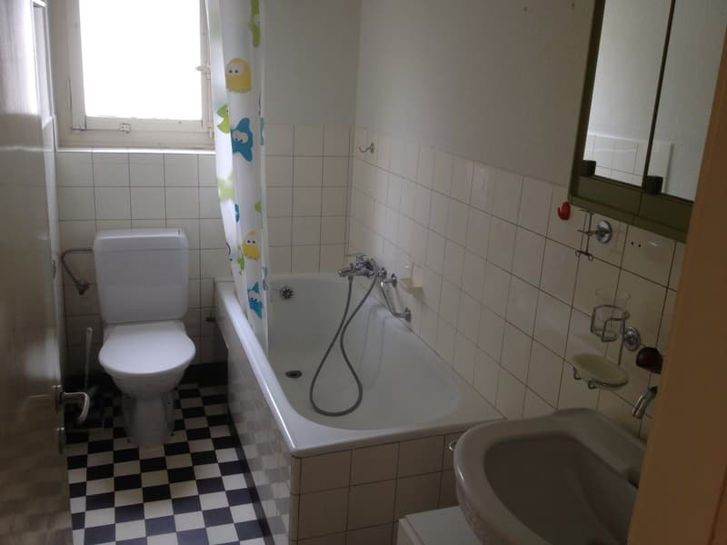 Wunderschöne, grosszügige, ruhige + sonnige 2.5 ZIMMER-WOHNUNG (27)