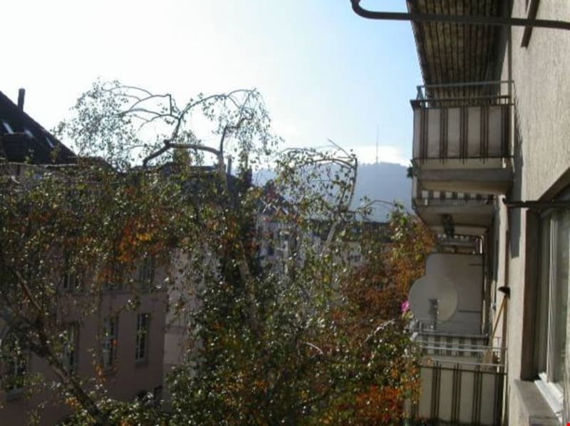 Wunderschöne, grosszügige, ruhige + sonnige 2.5 ZIMMER-WOHNUNG (6)