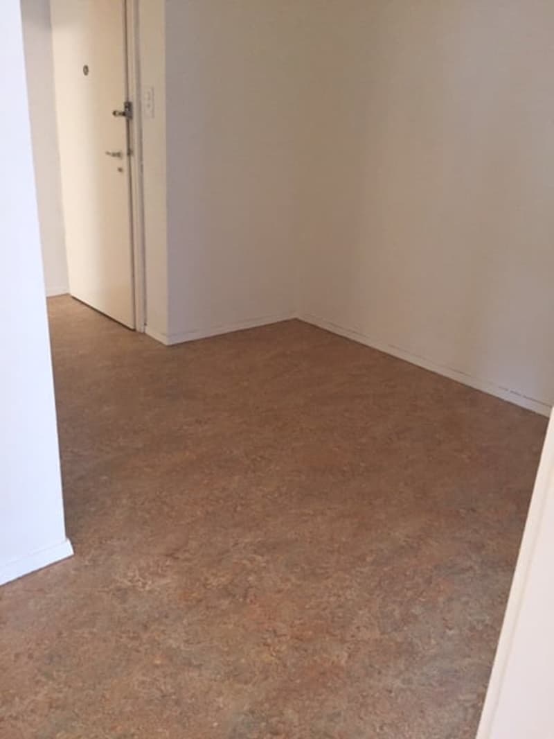 Wunderschöne, grosszügige, ruhige + sonnige 2.5 ZIMMER-WOHNUNG (19)