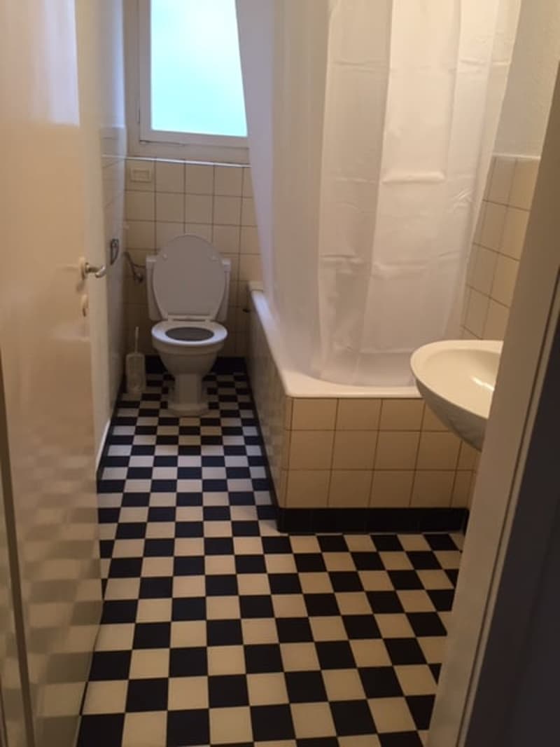 Wunderschöne, grosszügige, ruhige + sonnige 2.5 ZIMMER-WOHNUNG (23)