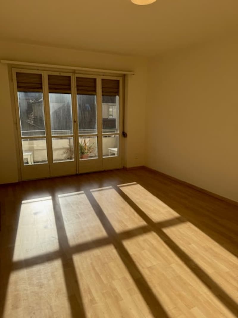 Wunderschöne, grosszügige, ruhige + sonnige 2.5 ZIMMER-WOHNUNG (28)