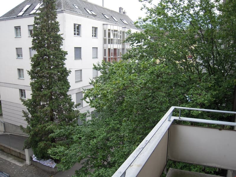 Wunderschöne, grosszügige, ruhige + sonnige 2.5 ZIMMER-WOHNUNG (8)