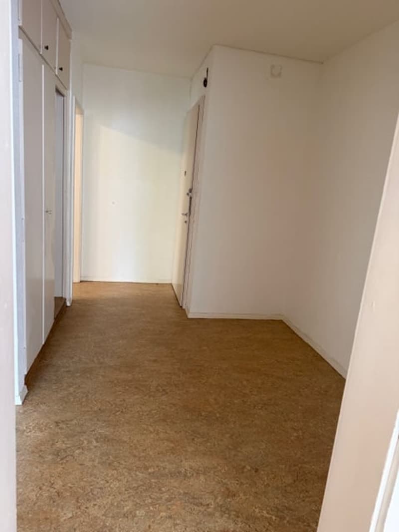 Wunderschöne, grosszügige, ruhige + sonnige 2.5 ZIMMER-WOHNUNG (32)