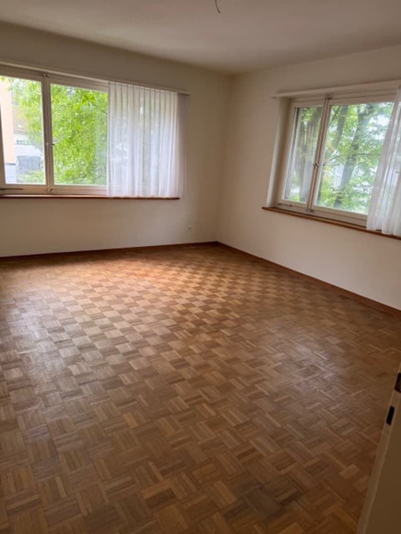 Wunderschöne, grosszügige, ruhige + sonnige 2.5 ZIMMER-WOHNUNG (30)