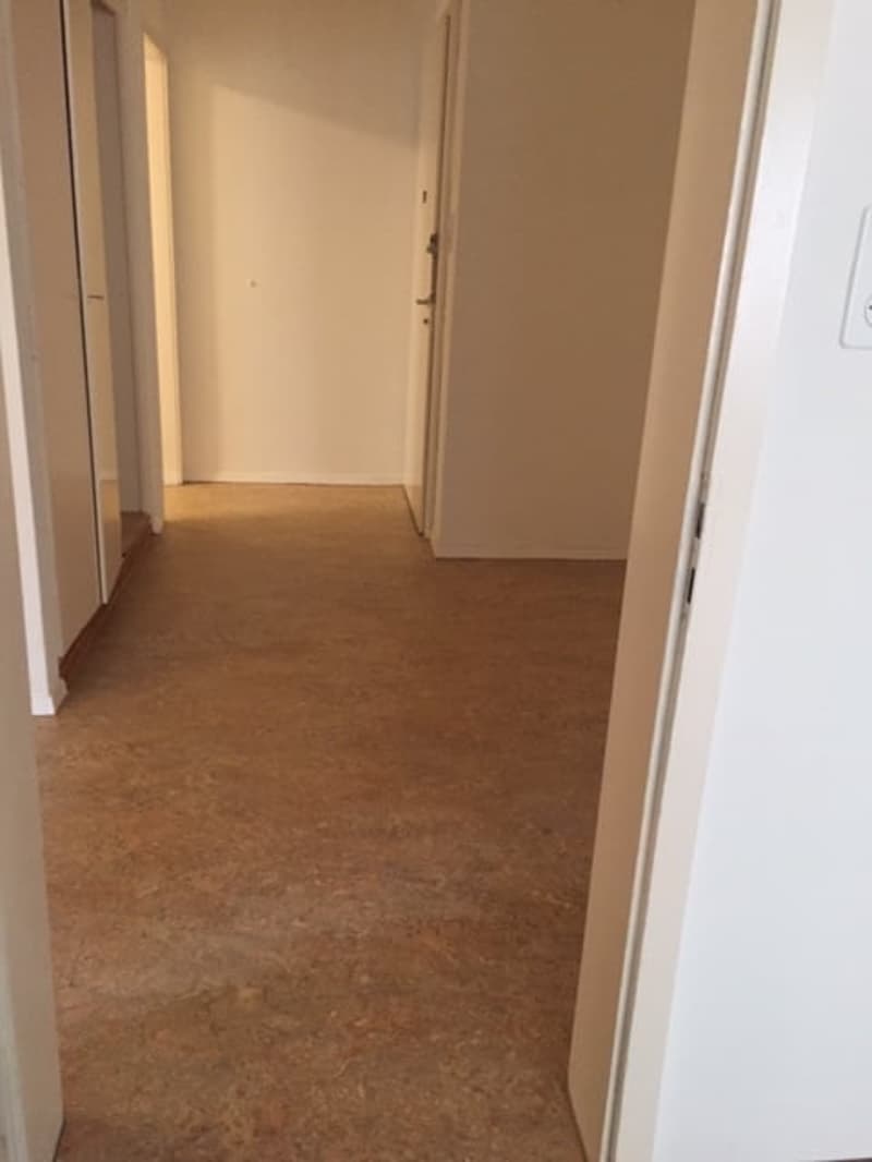 Wunderschöne, grosszügige, ruhige + sonnige 2.5 ZIMMER-WOHNUNG (18)