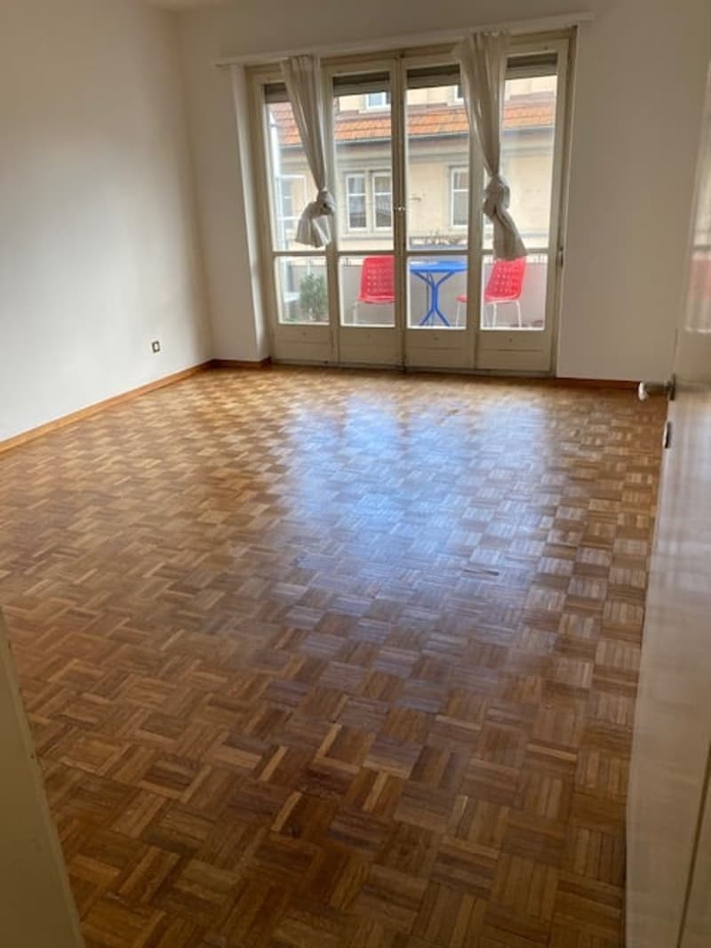 Wunderschöne, grosszügige, ruhige + sonnige 2.5 ZIMMER-WOHNUNG (3)