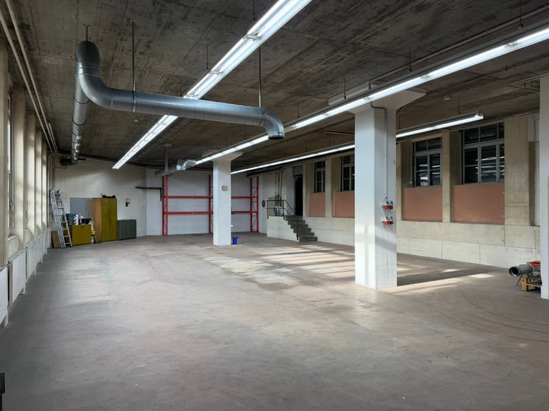 Large open warehouse, concrete floors, metal shelves, large open space, fluorecent ceiling lights, large windows, metal beams