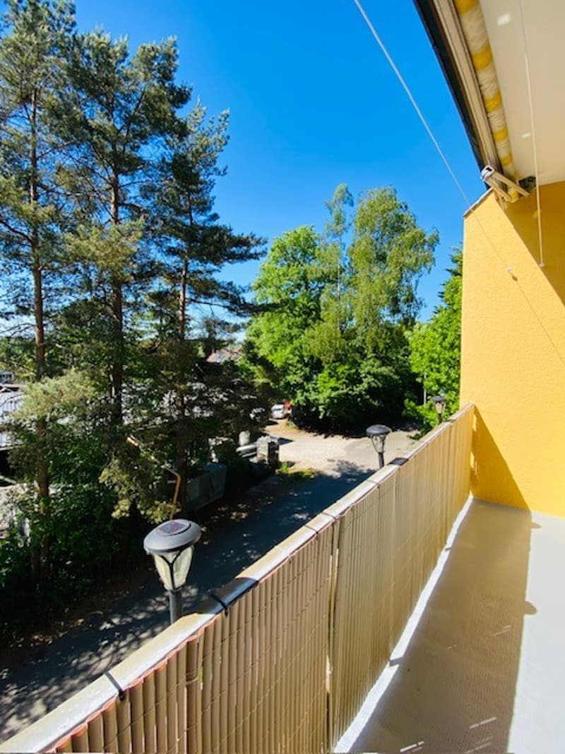 Charming 3-room apartment with balcony and beautiful view in Attiswil (9)