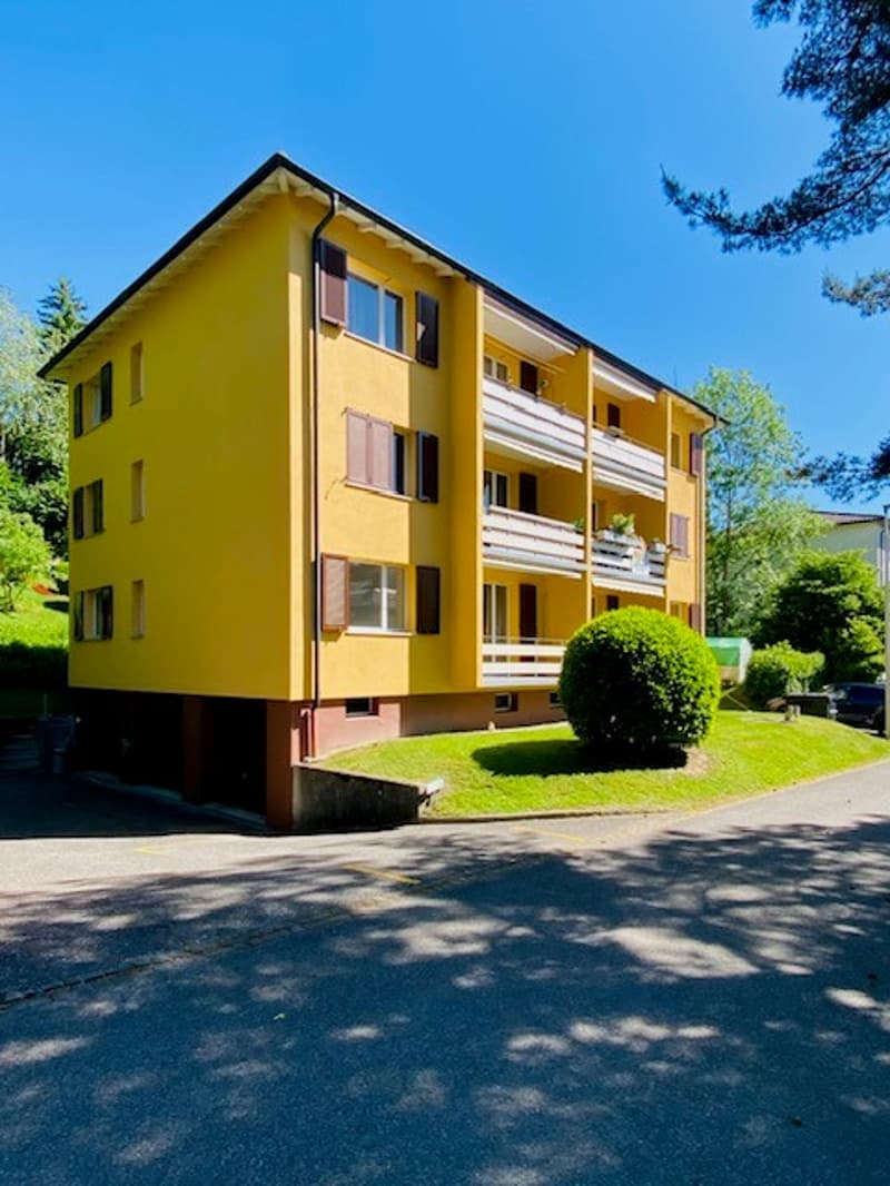 Charming 3-room apartment with balcony and beautiful view in Attiswil (2)