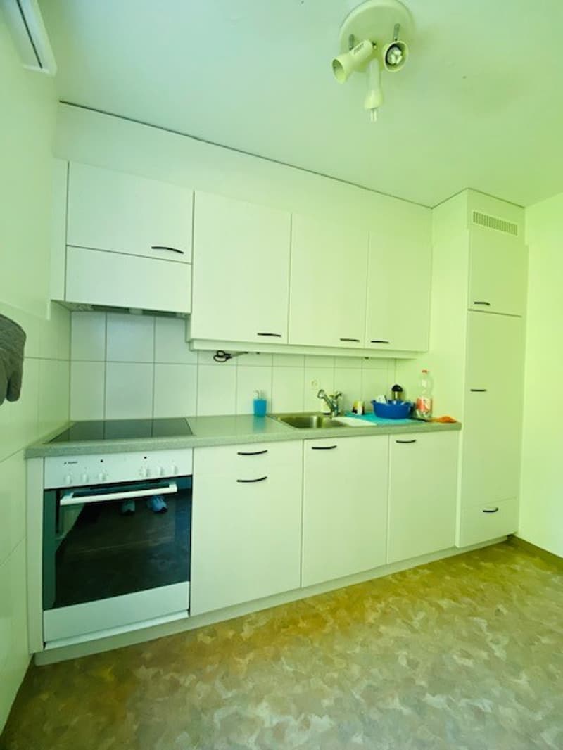 Charming 3-room apartment with balcony and beautiful view in Attiswil (14)