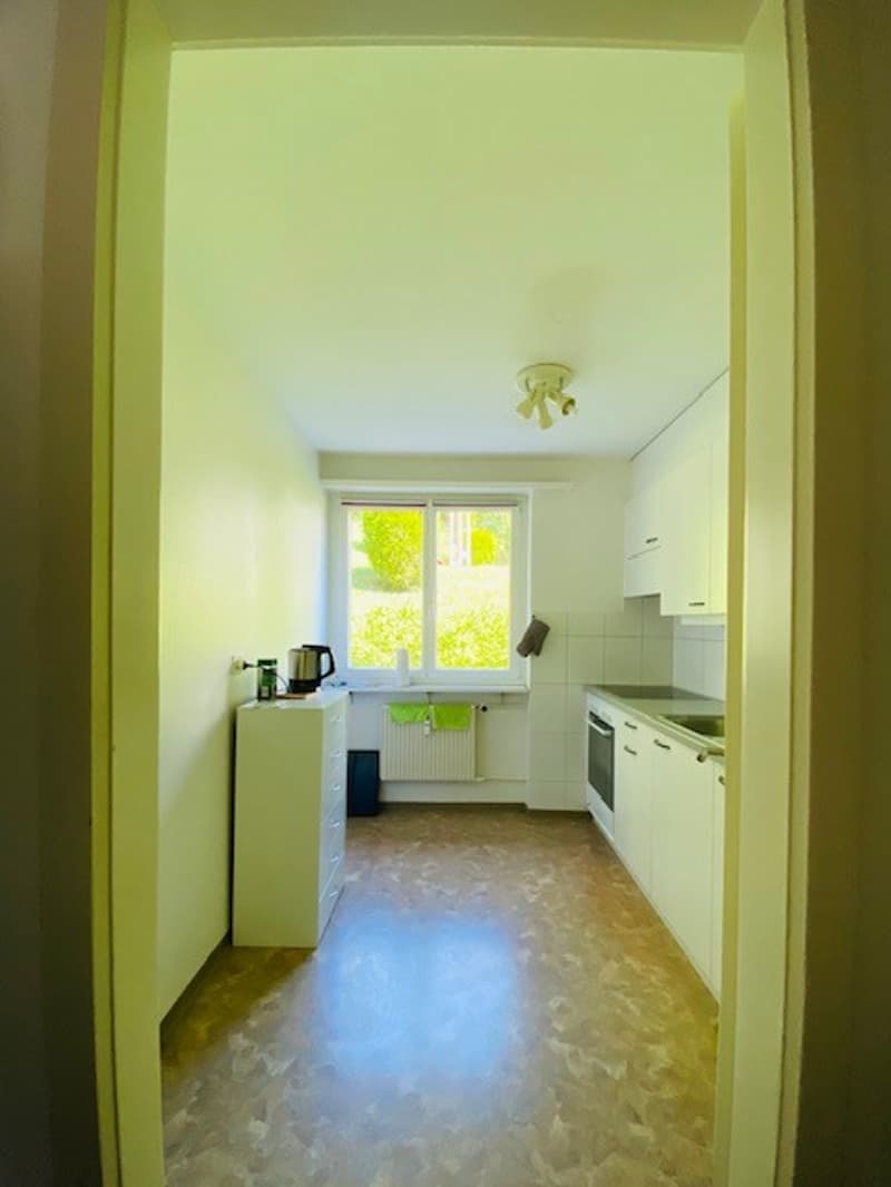 Charming 3-room apartment with balcony and beautiful view in Attiswil (15)