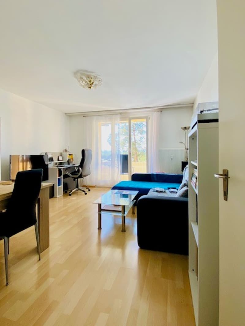 Charming 3-room apartment with balcony and beautiful view in Attiswil (10)