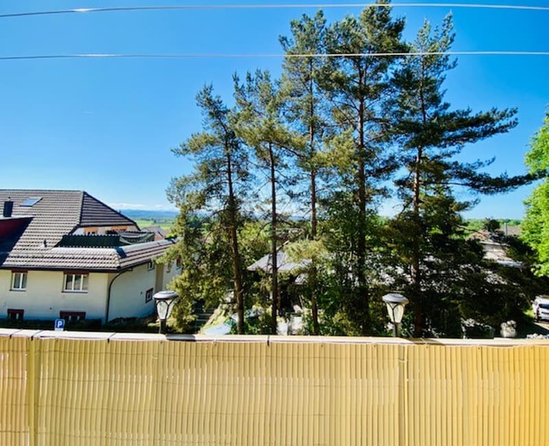 Charming 3-room apartment with balcony and beautiful view in Attiswil (7)