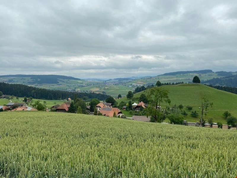 Charming 2-room apartment with panoramic view in Zäziwil (3)