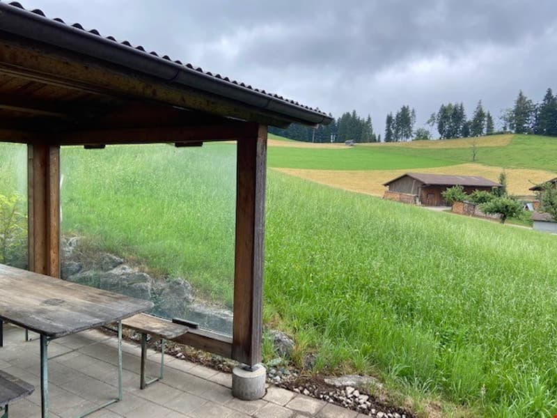Charming 2-room apartment with panoramic view in Zäziwil (5)