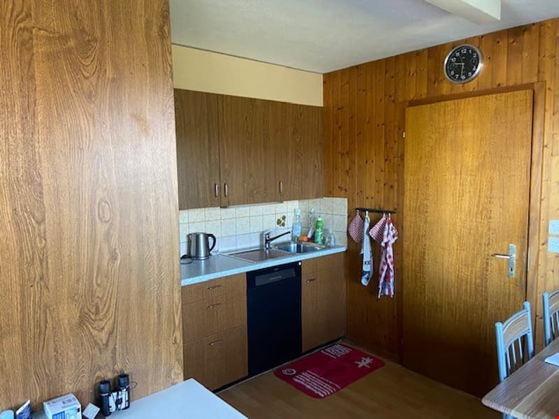Charming 2-room apartment with panoramic view in Zäziwil (7)