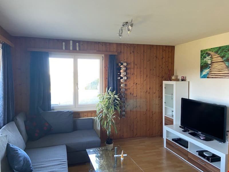 Charming 2-room apartment with panoramic view in Zäziwil (8)