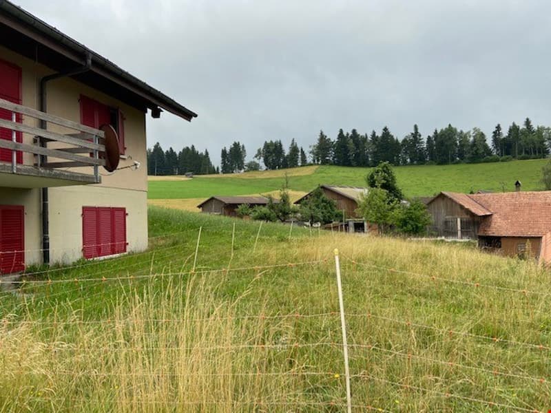 Charming 2-room apartment with panoramic view in Zäziwil (6)