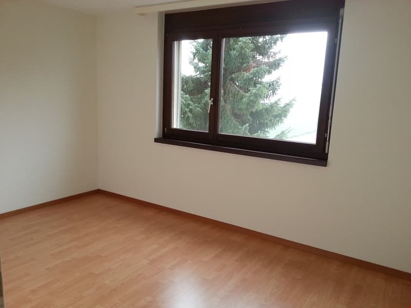 Grosszügige 4.5-Zimmer-Wohnung an ruhiger Lage (3)