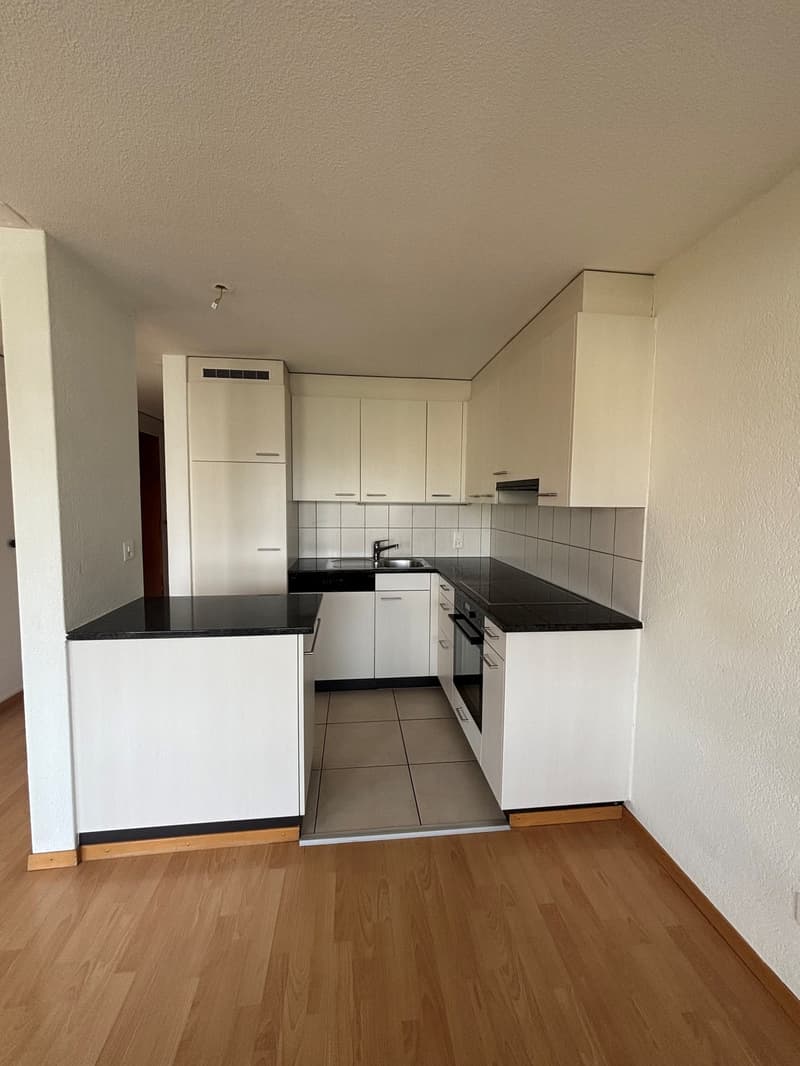 Grosszügige 4.5-Zimmer-Wohnung an ruhiger Lage (1)