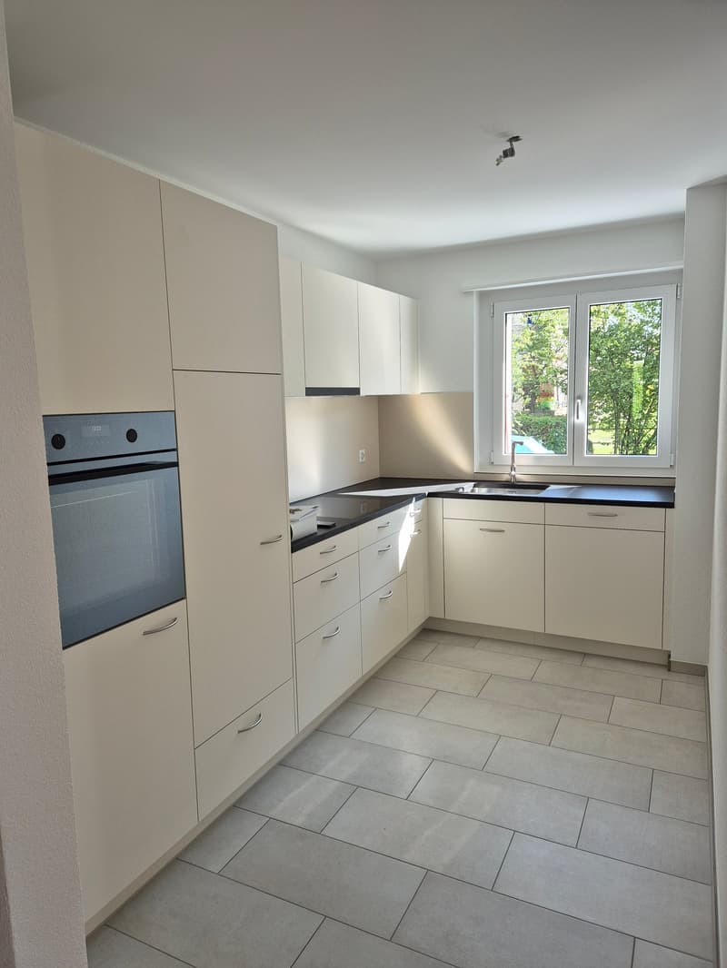 Appartamento moderno 4.5 locali con ampio balcone (1)