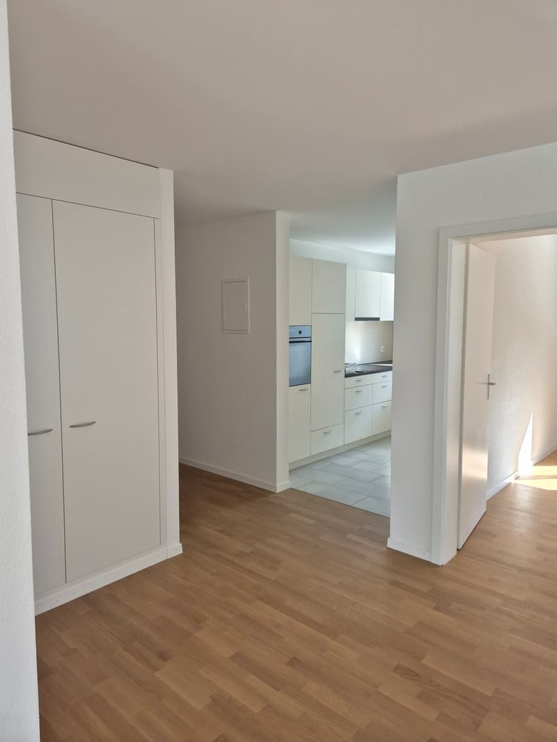 Appartamento moderno 4.5 locali con ampio balcone (2)