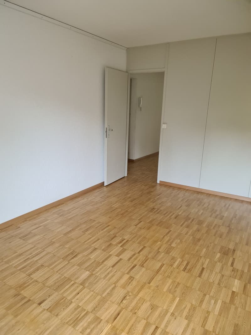 Wunderschöne 4.5-Zimmer-Wohnung mit schöner Aussicht (8)
