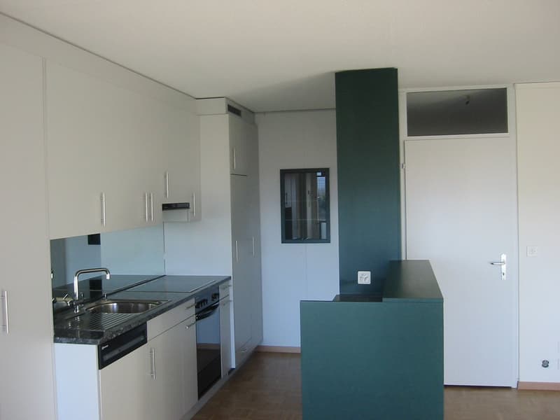 Wunderschöne 4.5-Zimmer-Wohnung mit schöner Aussicht (1)