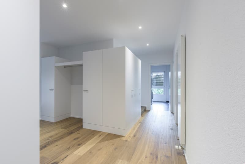 exklusive 4.5-Zimmerwohnung mit grosser Dachterrasse (3)