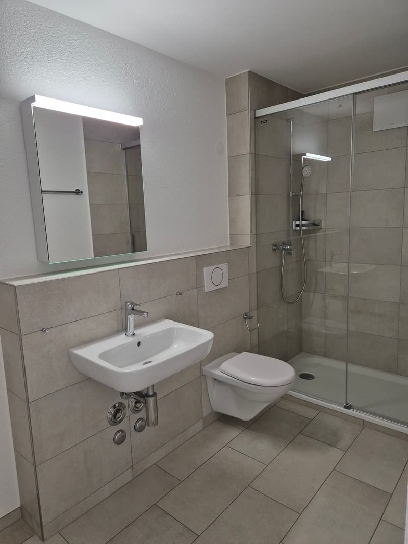 Moderne 4.5-Zimmer-Wohnungen mit grossem Balkon (6)