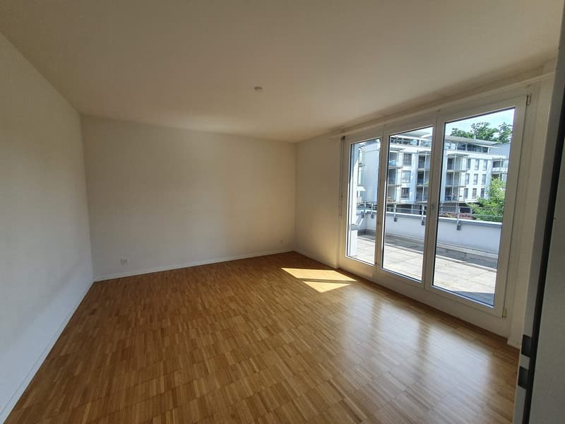 Lichtdurchflutete 4.5-Zimmer-Attikawohnung mit grosser Eckterrasse (5)