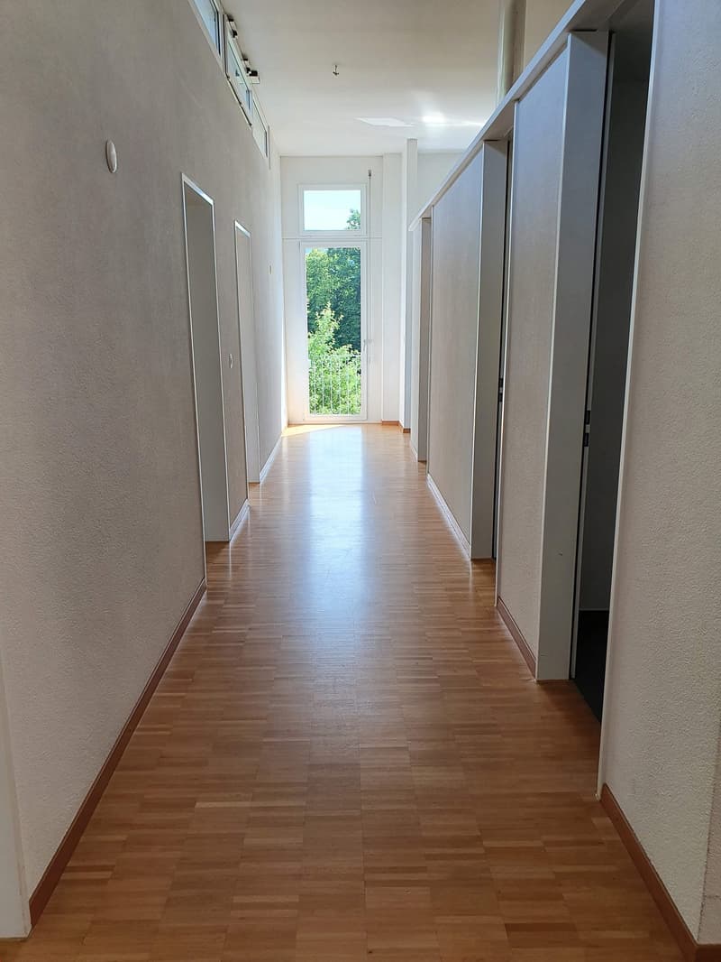 Lichtdurchflutete 4.5-Zimmer-Attikawohnung mit grosser Eckterrasse (6)