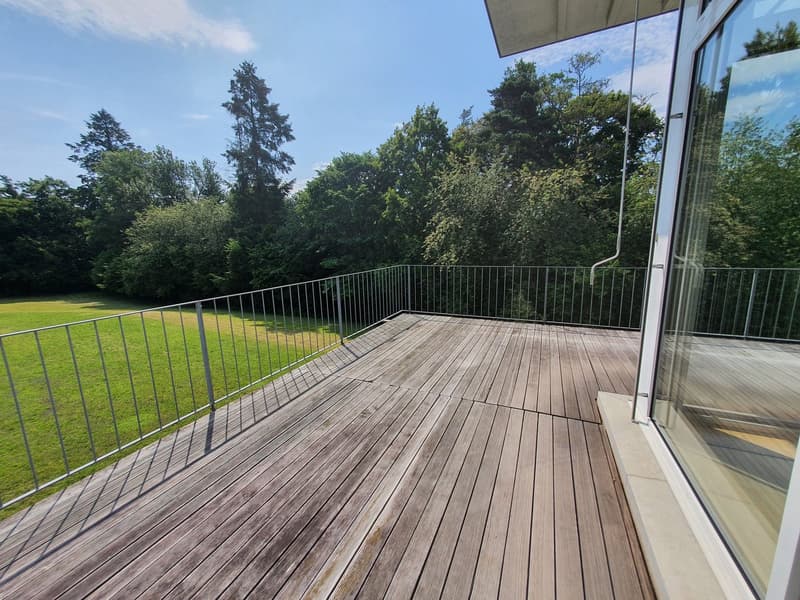 Lichtdurchflutete 4.5-Zimmer-Attikawohnung mit grosser Eckterrasse (3)