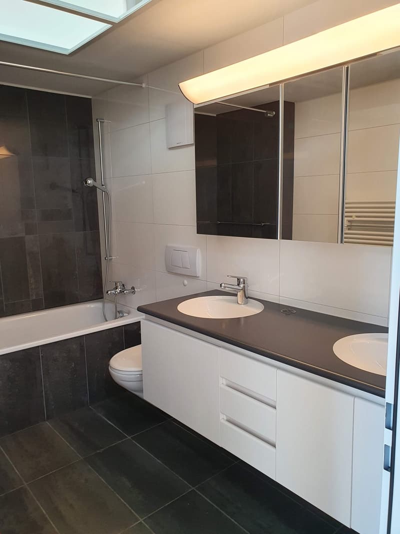 Lichtdurchflutete 4.5-Zimmer-Attikawohnung mit grosser Eckterrasse (9)